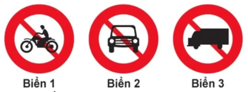 Hình minh họa câu hỏi 307