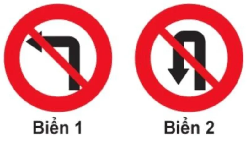 Hình minh họa câu hỏi 313