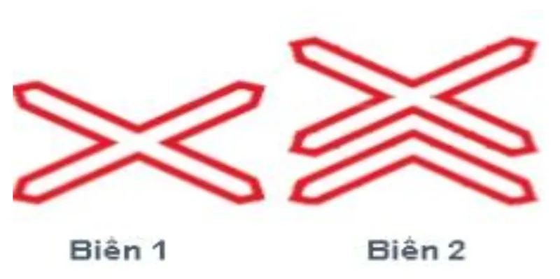 Hình minh họa câu hỏi 377