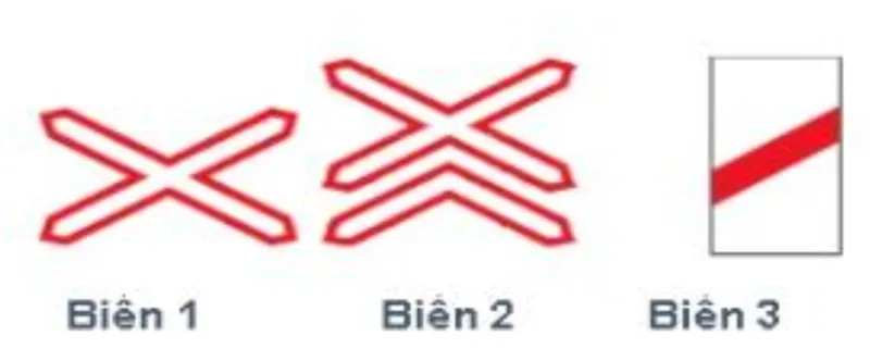 Hình minh họa câu hỏi 378