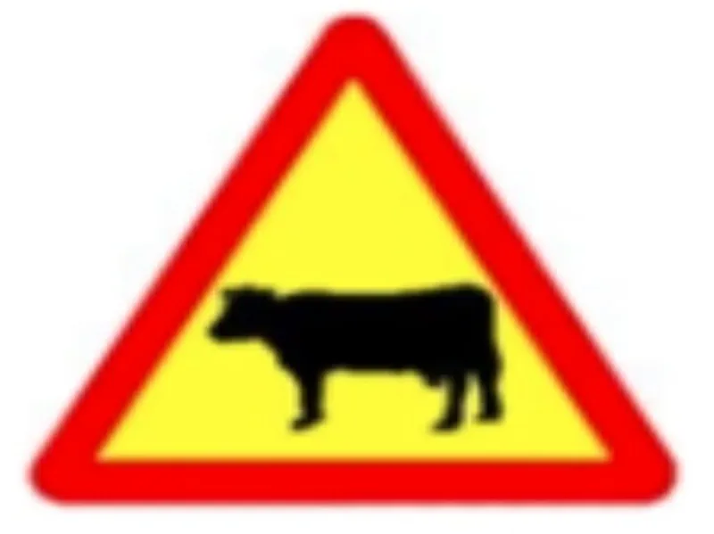 Hình minh họa câu hỏi 424