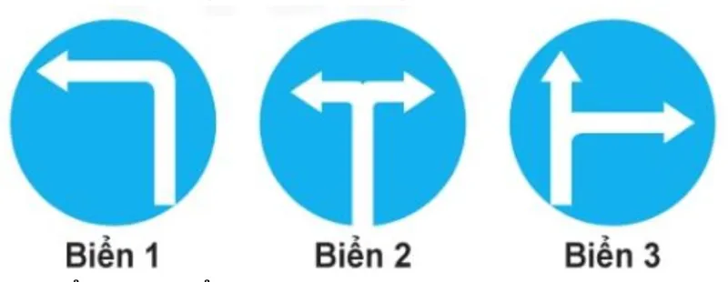 Hình minh họa câu hỏi 442