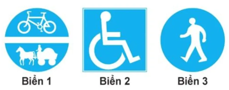 Hình minh họa câu hỏi 452