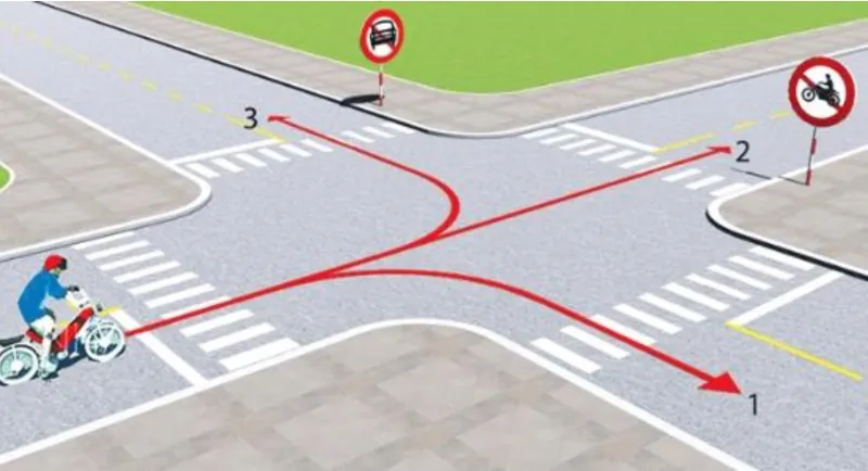 Hình minh họa câu hỏi 507