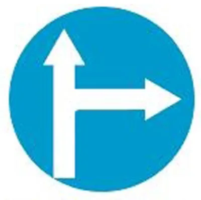 Biển báo 301f - Hướng đi phải theo